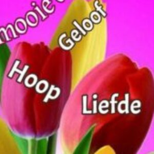 Profile photo of Nancy Sanmohadi